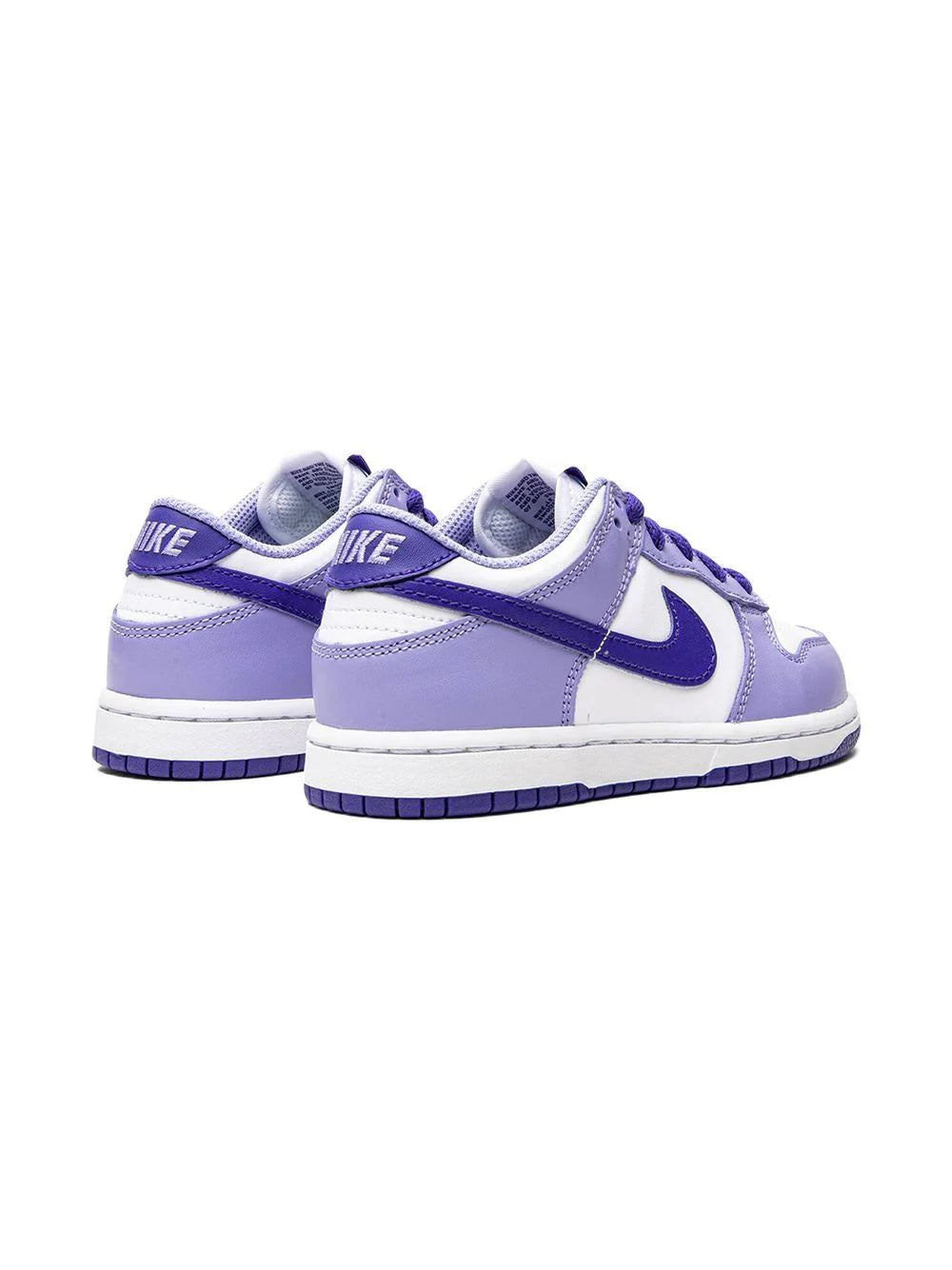 Nike Dunk Blueberry